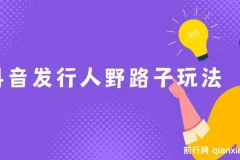 抖音游戏发行人野路子玩法：手机操作实现高收益