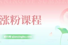 涨粉课程：覆盖抖音快手公众号，小白可上手，助力日入500+