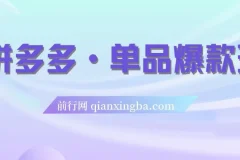 拼多多单品爆款班：5节直播课打造超级爆款（2023版）