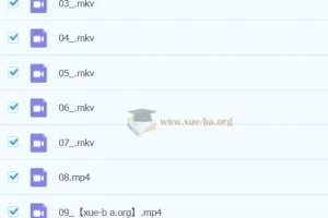 【2023寒春】张弛老师四年级小学语文A+课程