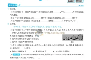 25秋4星学霸提高班小学科学（教科版3 – 6年级）