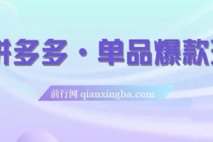 拼多多单品爆款班：5节直播课打造超级爆款（2023版）