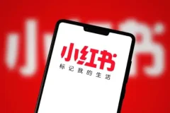 小红书爆火的《100部名著精读笔记》绘本