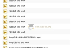 泷羽SEC红队全栈网络安全课程