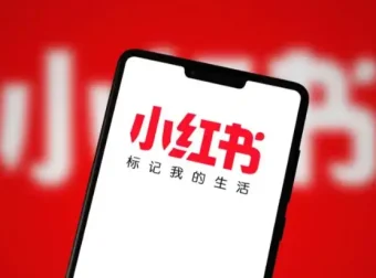 小红书爆火的《100部名著精读笔记》绘本