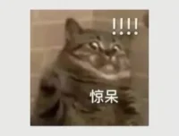韦老师五国语言4000核心词汇速记营：高效词汇突破课程