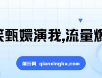 搞笑甄嬛演我视频项目：流量密码，简单操作
