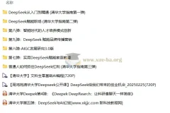 清华大学DeepSeek教程（第1 – 9弹全）