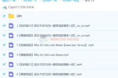 刘飞飞英语 2024 初一英语 S 春季班上下合集