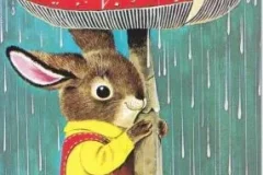 英语儿童绘本故事《I am a Bunny》PPT