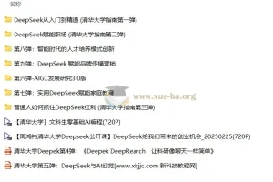 清华大学DeepSeek教程（第1 – 9弹全）