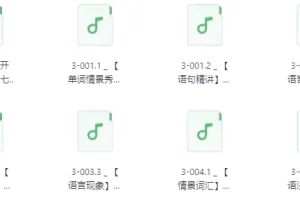 佐伊老师：不一样的新概念英语第3册音频学习