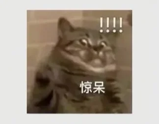 韦老师五国语言4000核心词汇速记营：高效词汇突破课程