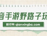 抖音手游野路子玩法：单视频高收益项目介绍