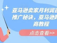 《亚马逊爆款推广12招：百万利润实战秘籍》电商课程