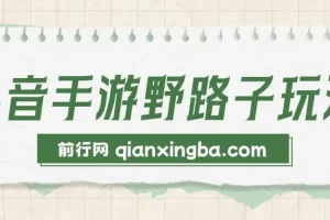抖音手游野路子玩法：单视频高收益项目介绍