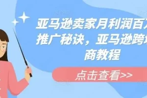 《亚马逊爆款推广12招：百万利润实战秘籍》电商课程