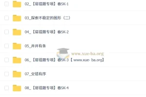 2026初二春上王丁玉数理思维自主学习·SK（三期）初中数学课程