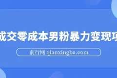 男粉暴力变现项目：高成交0成本变现方案