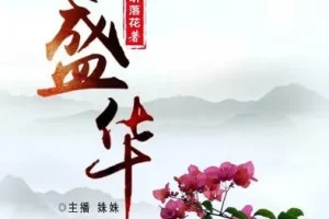完结有声小说《盛华》465集