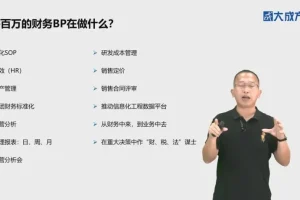大成方略财务BP实战特训：从入门到年薪百万的业财融合课