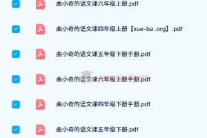 【24春】曲小奇语文课