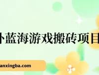 海外蓝海游戏搬砖项目：单机日入可观，兼职副业优选