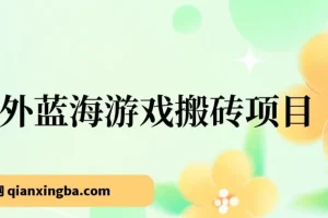 海外蓝海游戏搬砖项目：单机日入可观，兼职副业优选