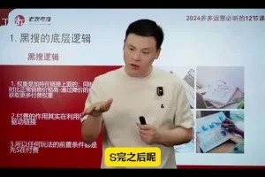 《2024拼多多爆款店铺速成课程：12节课助力30天销量飙升》