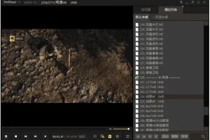 视频播放器 PotPlayer 去广告绿色版