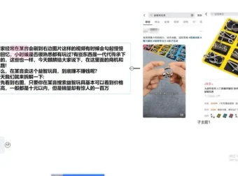 新手必学：益智玩具项目月入5000+入门课程