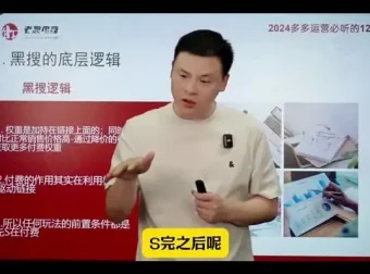 《2024拼多多爆款店铺速成课程：12节课助力30天销量飙升》