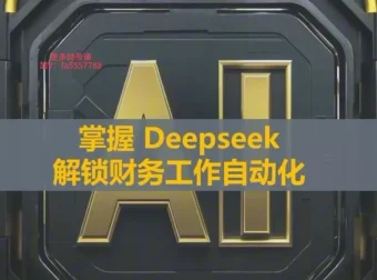 刘洋DeepSeek财务自动化工具实战教程