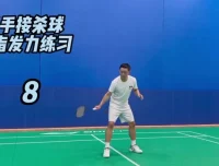 迪迪王羽毛球进阶课程：双打战术、假动作与30天训练（210节）