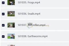 BBC少儿英语科普节目《宠物与我》(Teeny Tiny Creatures) 1 – 3季
