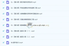 2024 – 2025高二生物杨雪全年课程（暑假班、秋季班、寒假班、春季班）