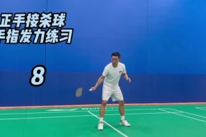 迪迪王羽毛球进阶课程：双打战术、假动作与30天训练（210节）