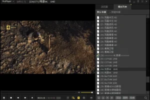 视频播放器 PotPlayer 去广告绿色版