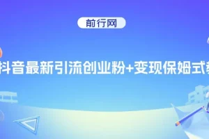 抖音引流创业粉与变现保姆式教程：可直接套用模板