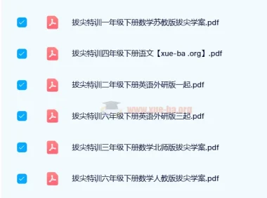2024春小学拔尖特训：数学、语文、英语综合资料