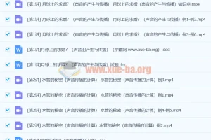 张婷初中物理应用物理竞赛课堂：声现象