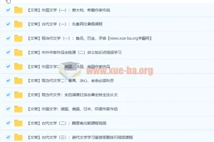 达吾力江文学常识专题课11讲（附讲义）