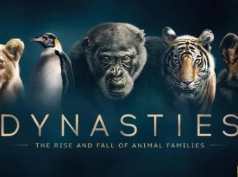BBC纪录片《王朝 Dynasties》英文版全5集（2018）中英双字