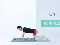 21天明星同款减脂塑形训练：精准训练，打造天鹅臂与小蛮腰