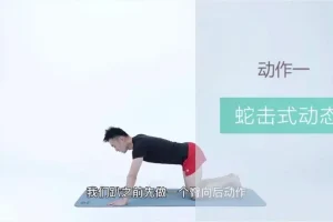 21天明星同款减脂塑形训练：精准训练，打造天鹅臂与小蛮腰