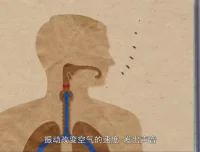奇妙世界120问：儿童科普百科动画