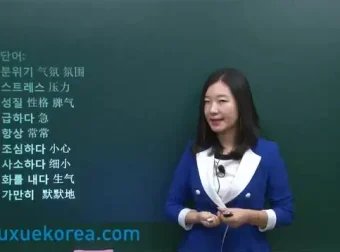 零基础韩语学习大合集：14套课程，全面覆盖韩语发音至TOPIK考试