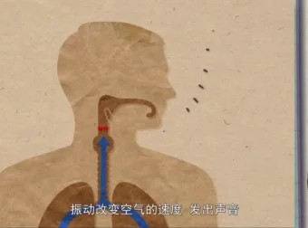 奇妙世界120问：儿童科普百科动画