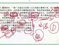 2024大懒猫言语强化课二期：高效提升言语理解与表达技巧