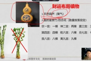 林涵予亲授：奇门遁甲风水实战7讲之财运事业姻缘布局